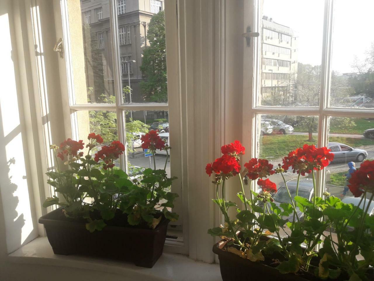Apartment Hana Lux Belgrade Exterior photo